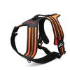 Pet chest strap