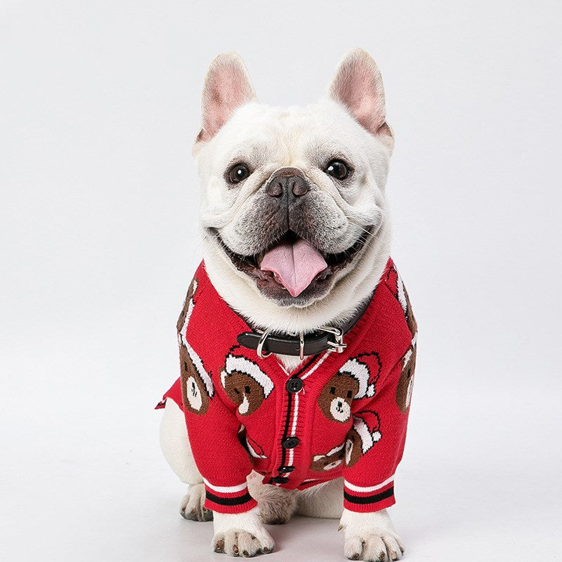 Pet clothes fall and winter