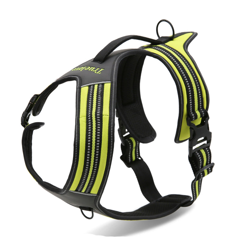 Pet chest strap