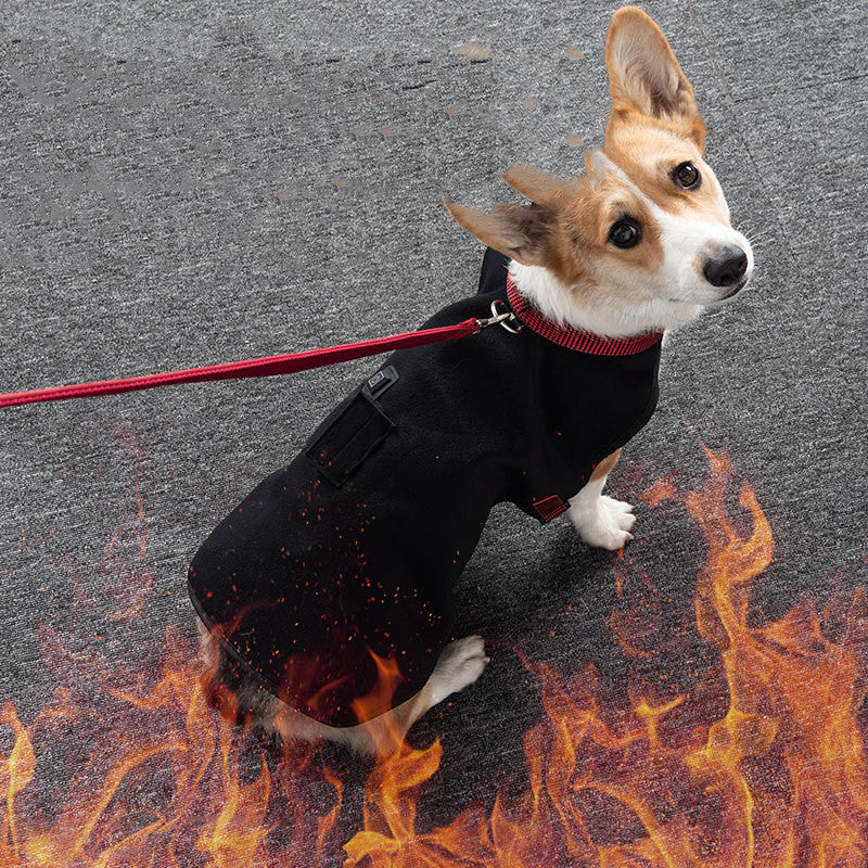 Pet fever warm vest