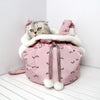 Pets Carrier Backpack Outdoor and Travel Use in Winter