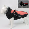 Winter warm pet jacket
