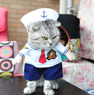 Pet Dog Cat Transformed Clothes Upright Clothes Halloween Pet Dress