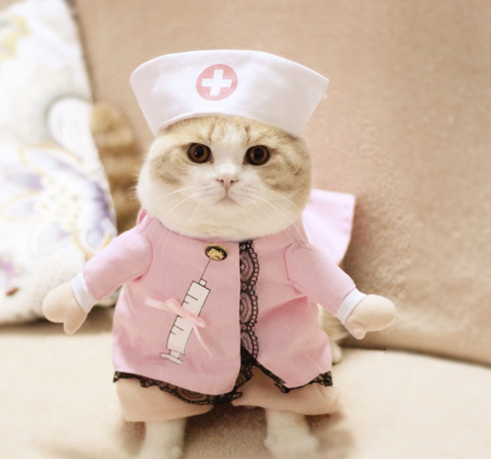 Pet Dog Cat Transformed Clothes Upright Clothes Halloween Pet Dress