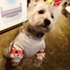 Plush print pet clothes