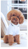 Teddy pet summer T-shirt