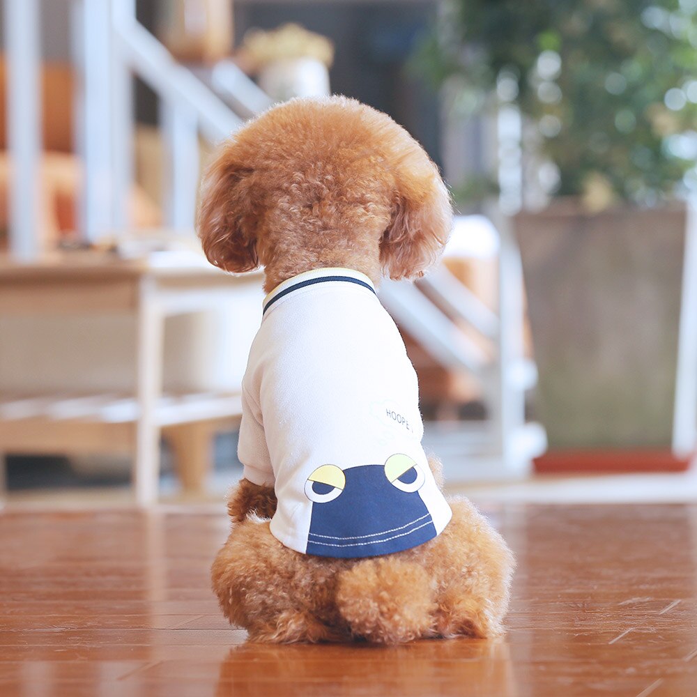 Teddy pet summer T-shirt