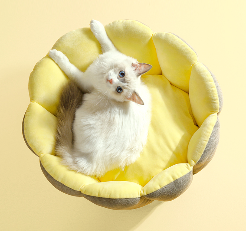 Cat Litter House Four Seasons Universal Pet Bed Winter Warm Dog Litter Mat Cat Supplies
