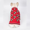 Pet clothes fall and winter