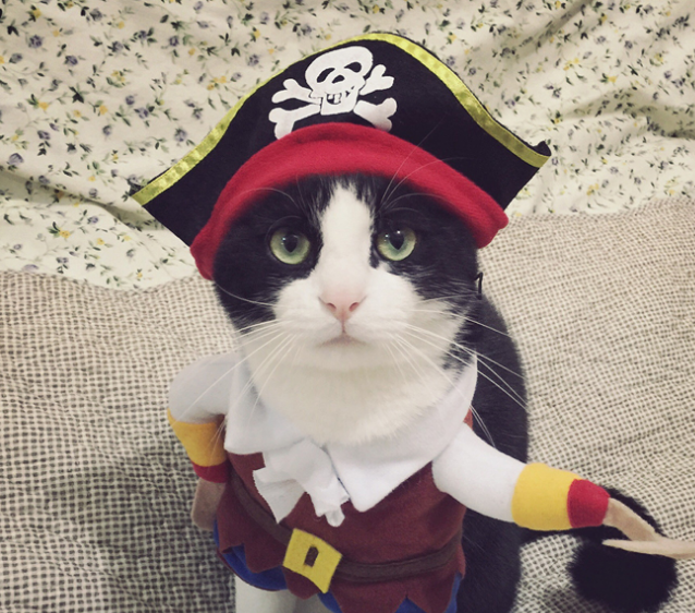 Pet Dog Cat Transformed Clothes Upright Clothes Halloween Pet Dress
