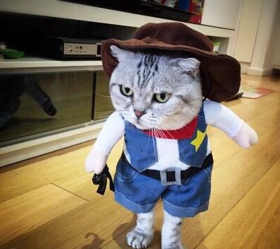 Pet Dog Cat Transformed Clothes Upright Clothes Halloween Pet Dress