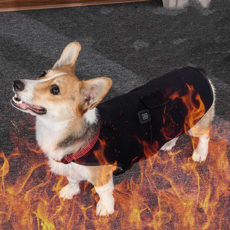 Pet fever warm vest