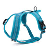 Pet chest strap