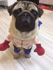 Pet Dog Cat Transformed Clothes Upright Clothes Halloween Pet Dress