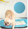 Summer Pet Ice Mat Dog Ice Silk Mat Mat