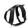 Pet chest strap